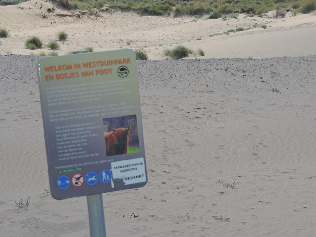 Sea & Dunes La Haye Extérieur photo